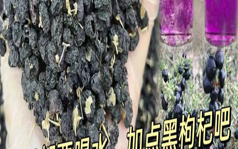 天天喝黑枸杞好不好,长时间喝黑枸杞水好不好 天天喝黑枸杞好不好,长时间喝黑枸杞水好不好
