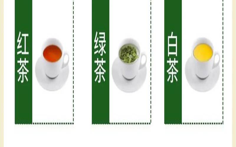 品茶小知识，品茶游戏规则