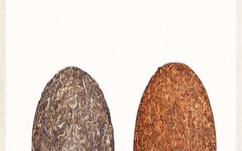 普洱茶要买生的还是熟的,经常喝熟普洱茶好吗