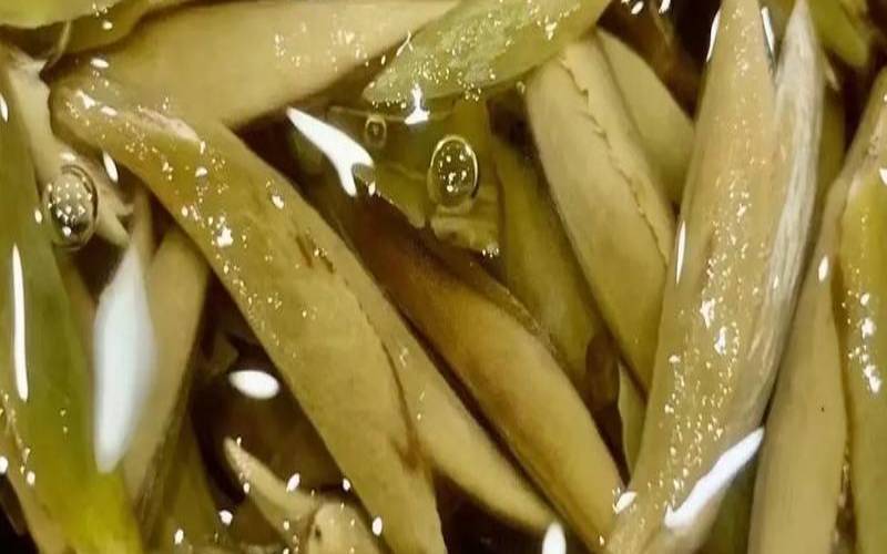 白毫银针需不需要洗茶,贡眉白茶的冲泡方法