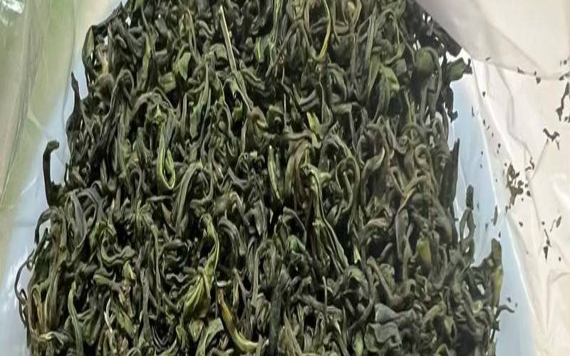 崂山茶多少钱一斤呢,正宗山东崂山绿茶价格图片