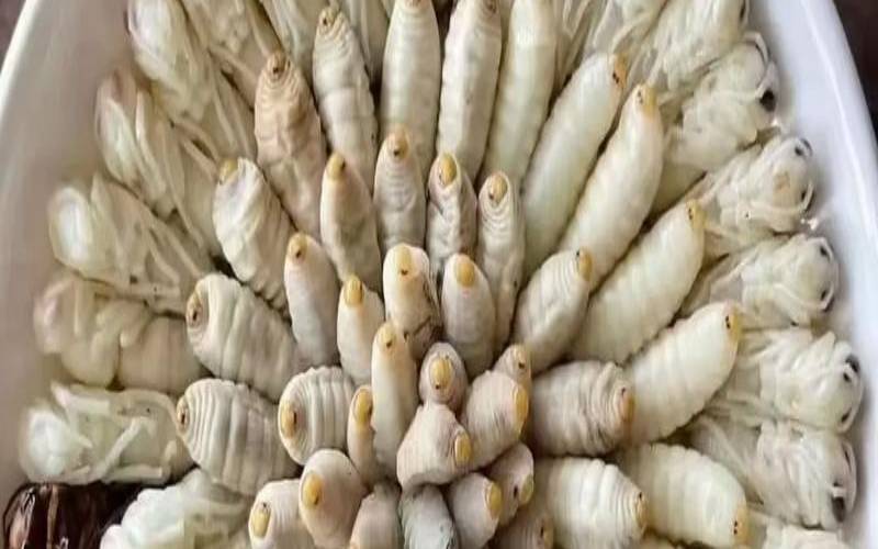普洱拉祜族菜(什么是普洱菜)，普洱菜又称什么菜