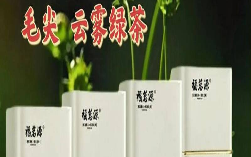 哪种绿茶最香最好喝,绿茶中口感最好的一种