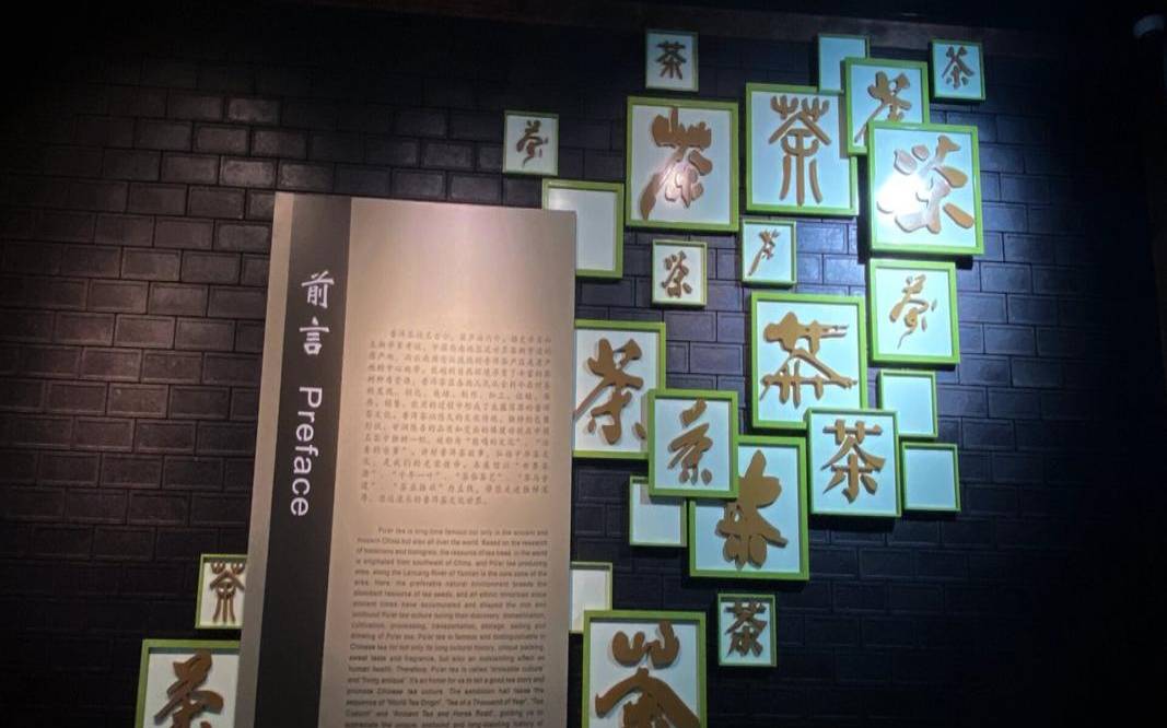 昆明标本茶叶普洱茶(昆明茶叶博物馆)，昆明普洱茶博物馆选址地点