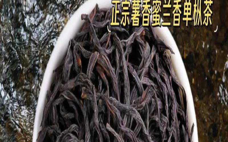 玉兰香单枞茶价格,单丛茶蜜兰香