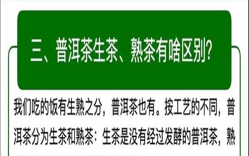 了解一下普洱茶，讲解一下普洱茶