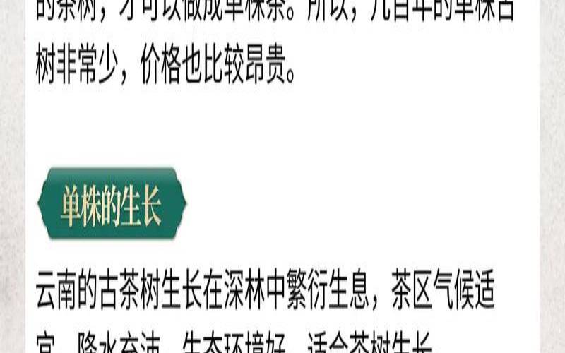 普洱单株古树和高杆的区别，高杆普洱与普通普洱的区别