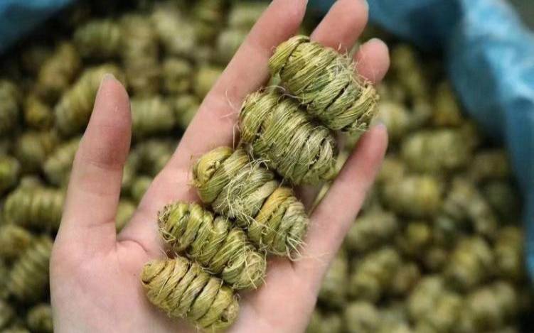 铁皮石斛对睡眠好吗,睡眠不好能吃铁皮石斛吗
