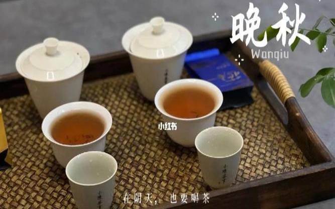 斗茶是指什么，斗茶用的是什么茶