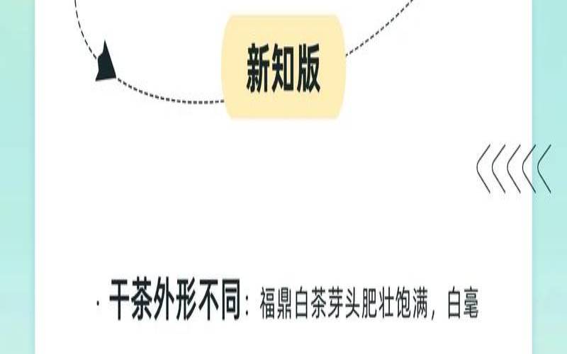 政和白茶是白茶吗,政和白茶特点