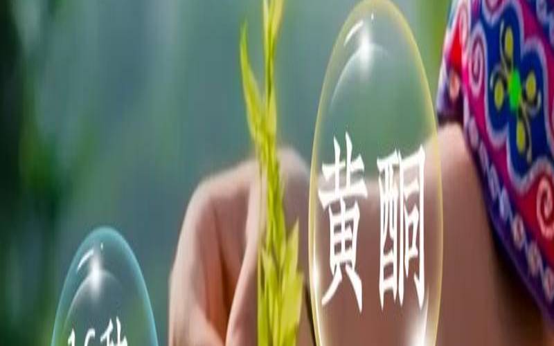 晚上泡的茶第二天能喝吗,莓茶隔夜可以喝吗