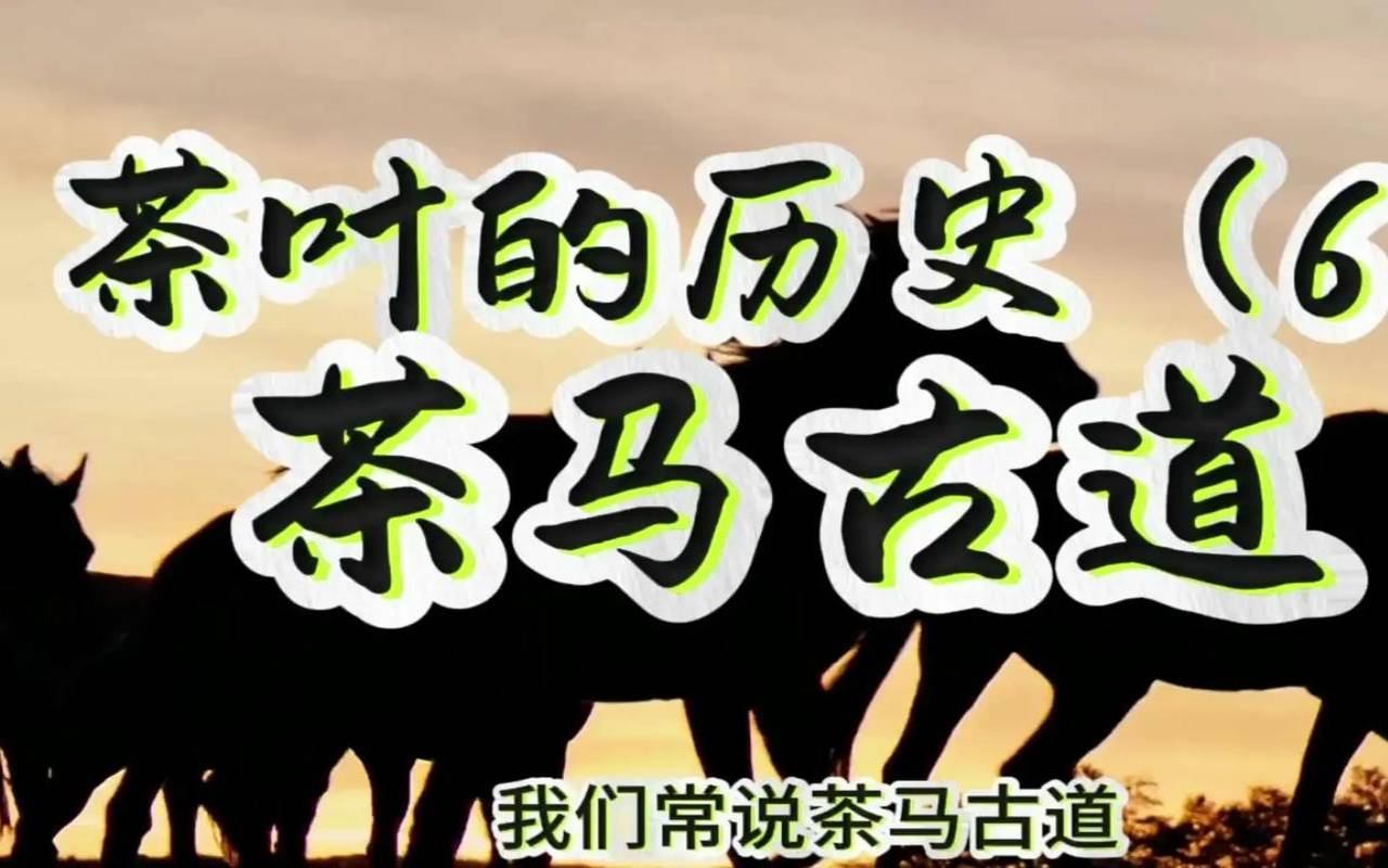 茶马古道的茶是什么茶,古六山茶叶特点 茶马古道的茶是什么茶,古六山茶叶特点