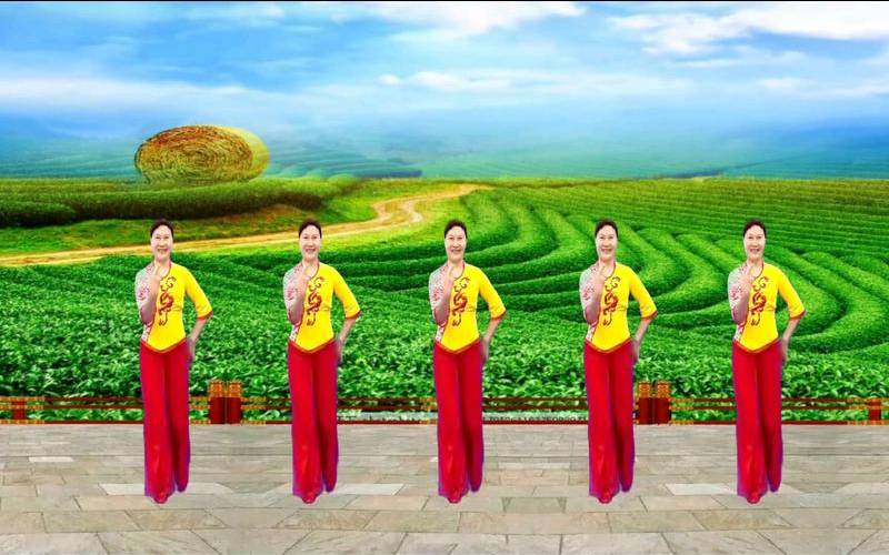 普洱茶场dj版,广场舞采茶舞
