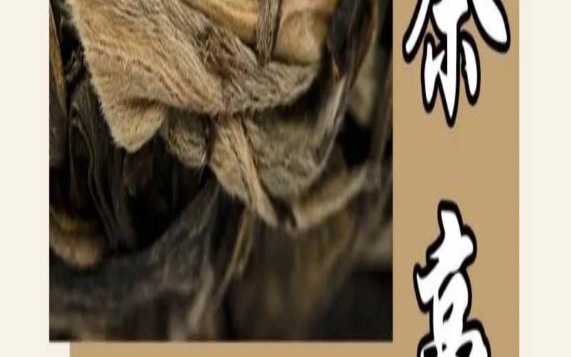 茶叶有毛毛能喝吗,茶叶上的毛毛可以喝吗