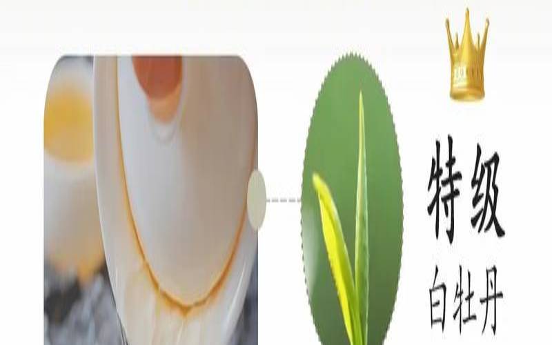 白茶的功效与作用有哪些,白茶的功效和喝茶的好处