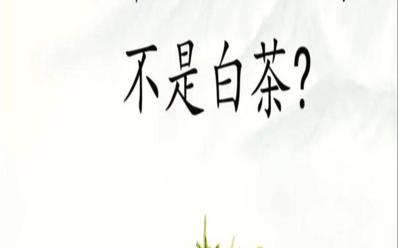 安吉白茶是白茶还是绿茶,安吉白茶为啥是绿茶