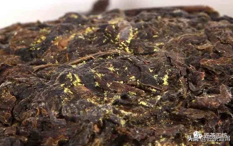 最近天气比较潮，普洱茶有黄点点咋回事