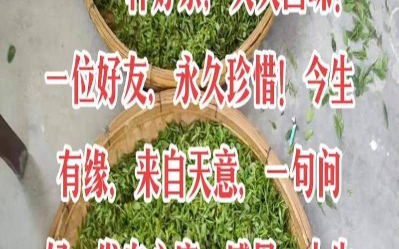 茶上好茶典故,茶上茶上好茶下一句 茶上好茶典故,茶上茶上好茶下一句