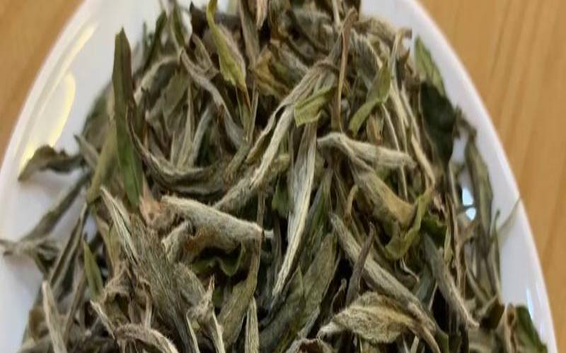 牡丹王是白牡丹吗,白牡丹王是什么茶