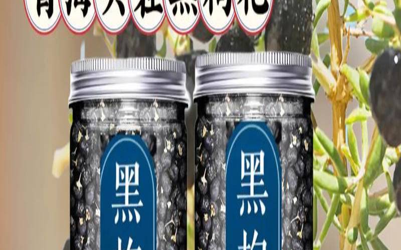 什么样的黑枸杞是最好的,中国最好的黑枸杞产地 什么样的黑枸杞是最好的,中国最好的黑枸杞产地