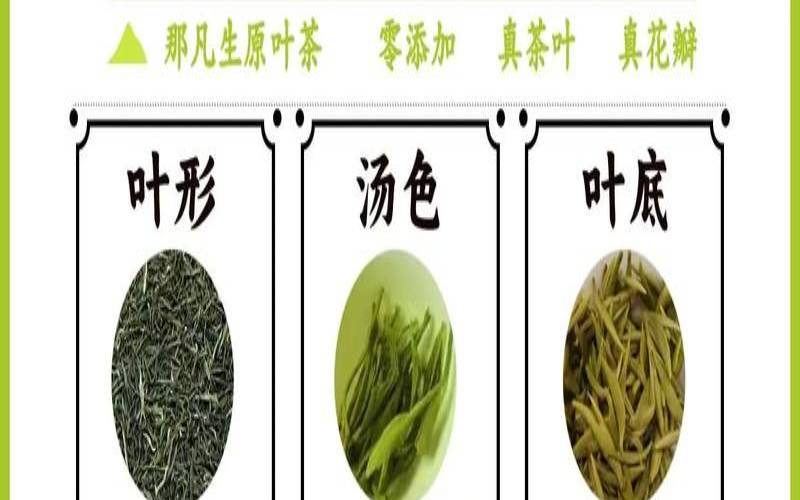 信阳毛尖和五峰毛尖的区别,信阳毛尖怎么泡才好喝