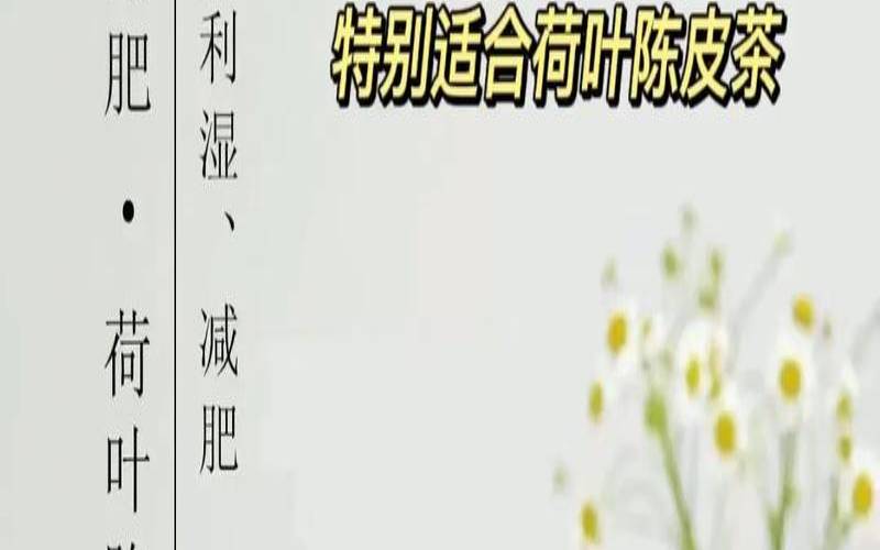 陈皮搭配什么茶泡水喝好,怎么泡茶最好喝 陈皮搭配什么茶泡水喝好,怎么泡茶最好喝