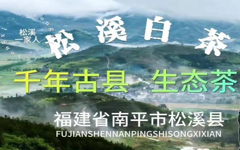 山水韵白茶价格,喝什么茶美白效果最好