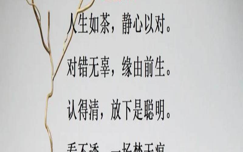 一人一茶一心境下一句,人生如茶静心以对 一人一茶一心境下一句,人生如茶静心以对