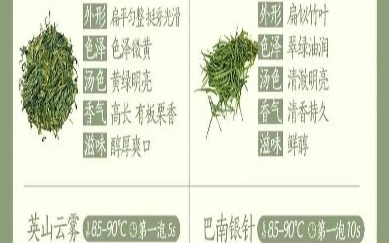 我国著名的绿茶是哪几个,绿茶名茶有哪些品种 我国著名的绿茶是哪几个,绿茶名茶有哪些品种