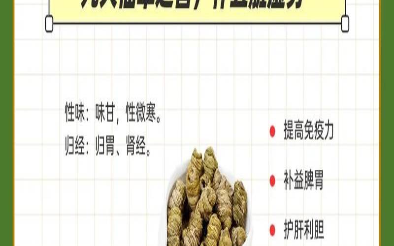 石斛搭配什么最养胃又补肾,石斛滋阴补肾的功效与作用 石斛搭配什么最养胃又补肾,石斛滋阴补肾的功效与作用