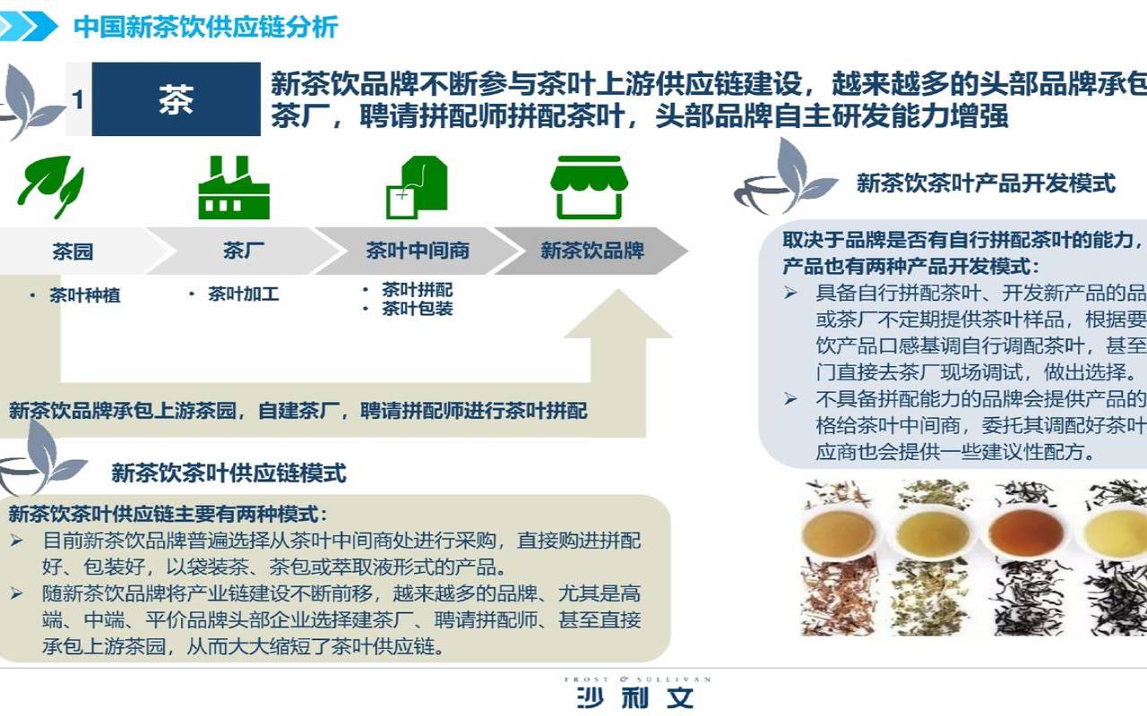 茶叶品牌推广方案,茶叶销售新模式 茶叶品牌推广方案,茶叶销售新模式