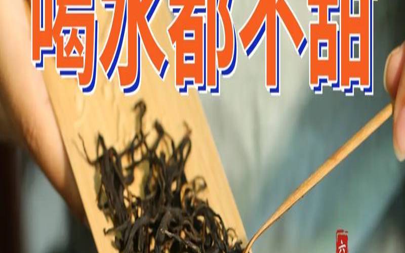 新的紫砂壶要怎么开,紫砂壶需要开壶吗