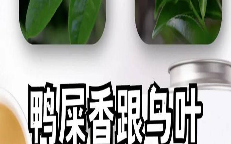 鸭屎香为什么香,鸭屎香最伤肾三个地方 鸭屎香为什么香,鸭屎香最伤肾三个地方