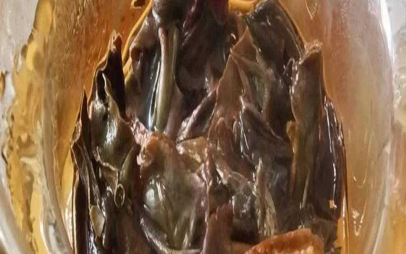 陈皮白茶好喝吗,老白茶加陈皮煮更好喝 陈皮白茶好喝吗,老白茶加陈皮煮更好喝