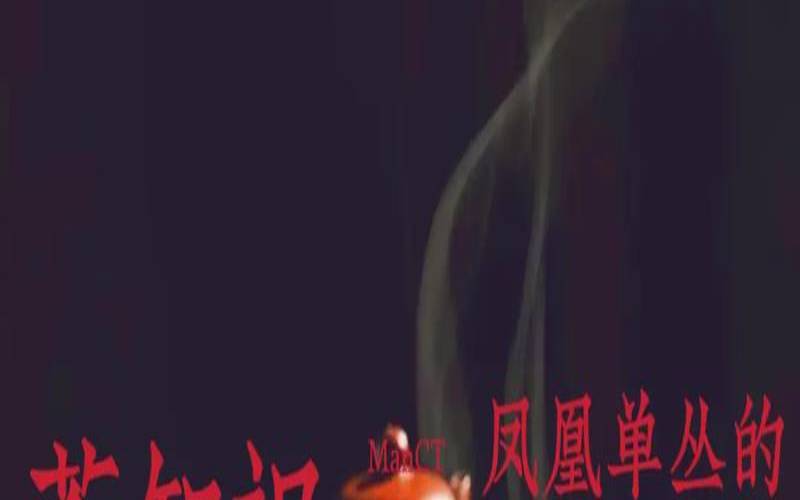 凤凰单丛的起源,凤凰单丛茶怎么泡 凤凰单丛的起源,凤凰单丛茶怎么泡