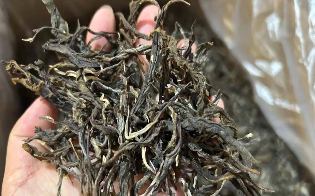 普洱茶全是碎渣没叶子 普洱茶全是碎渣没叶子