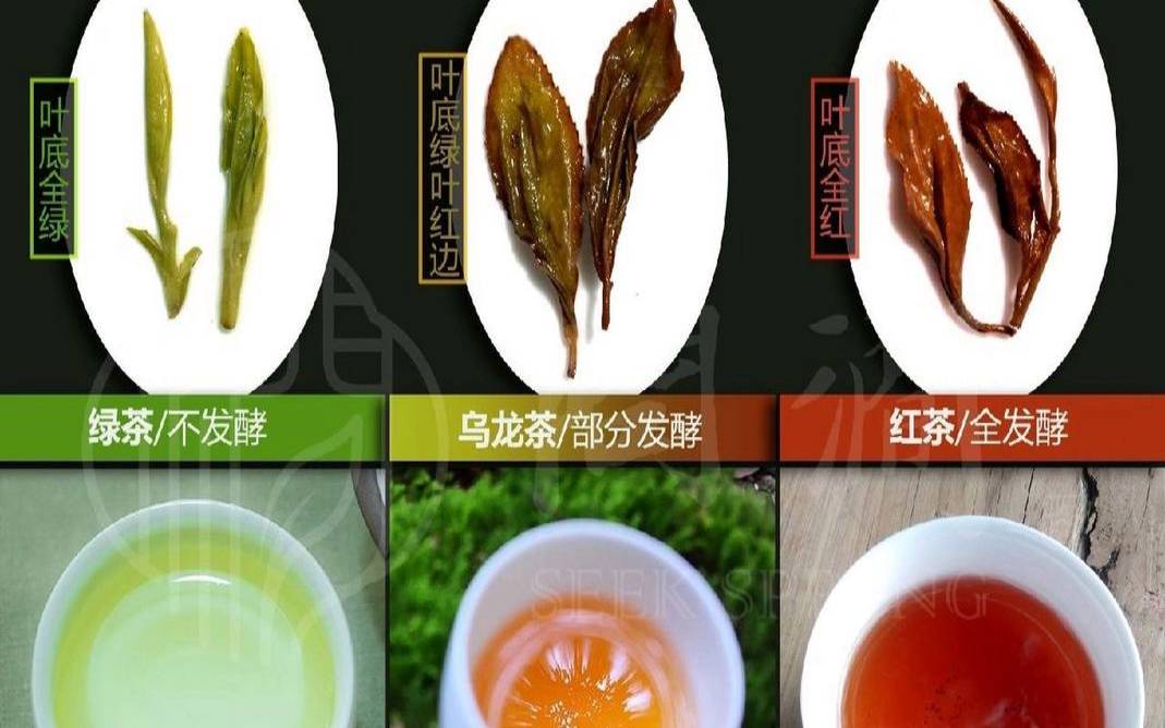 黑乌龙茶和乌龙茶哪个更好,黑乌龙茶属于红茶还是绿茶 黑乌龙茶和乌龙茶哪个更好,黑乌龙茶属于红茶还是绿茶