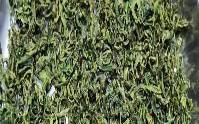 手工绿茶比赛时间,手工绿茶价格 手工绿茶比赛时间,手工绿茶价格