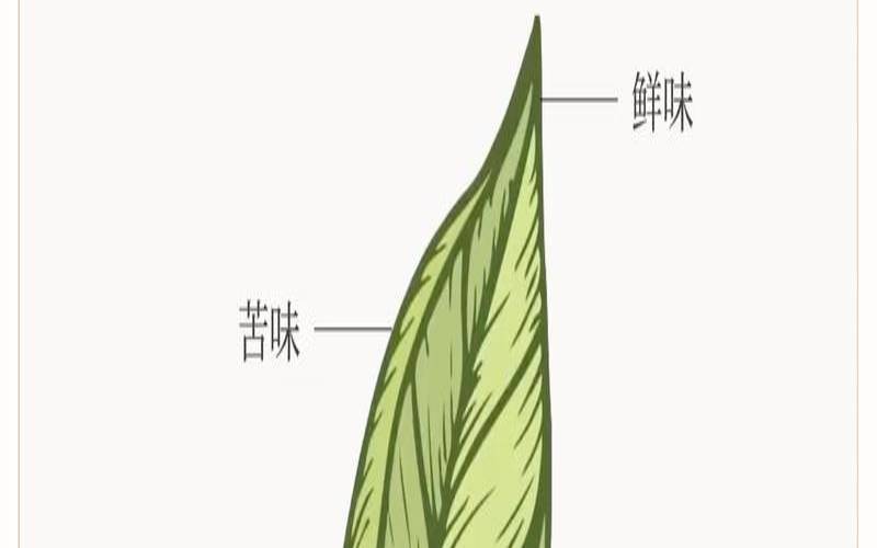 真茶无味是什么意思,茶味浓的茶有哪些 真茶无味是什么意思,茶味浓的茶有哪些