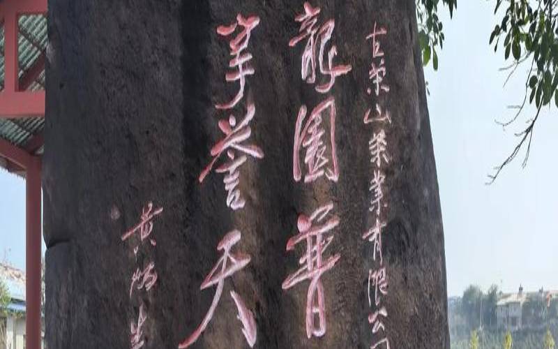 普洱茶的产地是什么地方,普洱茶的原产地