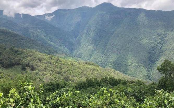 永德三宝大雪山，永德三宝是哪三宝