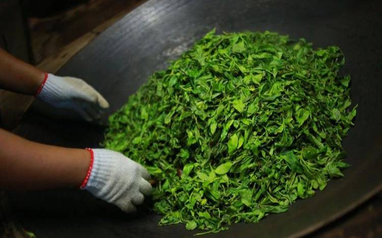 茶叶杀青技术要点,茶叶杀青的四种方法