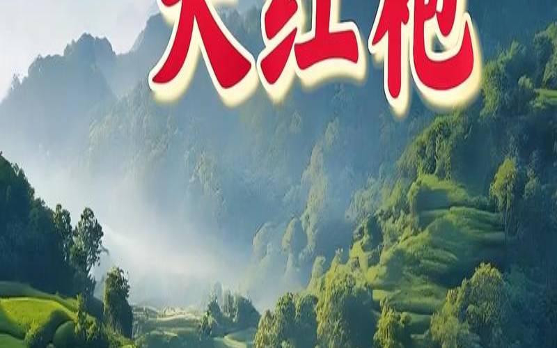 中国最贵的茶叶大红袍,中国最贵的茶叶品牌