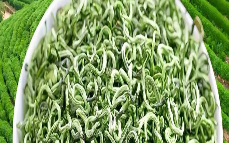 中国十大名茶是哪十大名茶,碧螺春茶叶图片 中国十大名茶是哪十大名茶,碧螺春茶叶图片