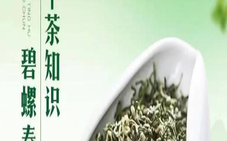 碧螺春哪产地,碧螺春产地在哪个城市 碧螺春哪产地,碧螺春产地在哪个城市