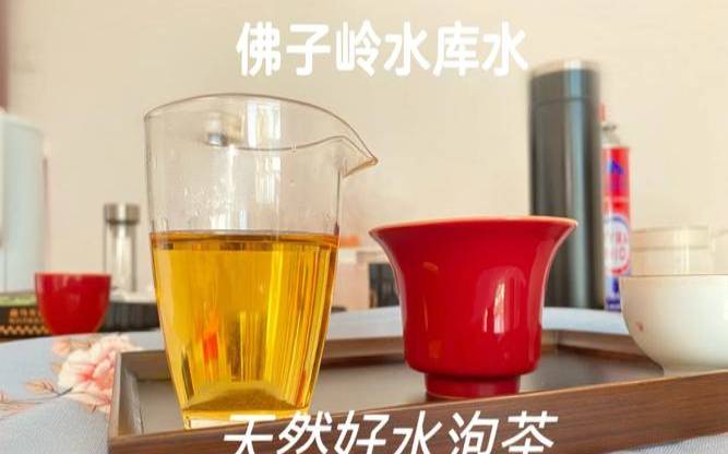 茶用几度的水泡,什么茶用100度水泡最好 茶用几度的水泡,什么茶用100度水泡最好