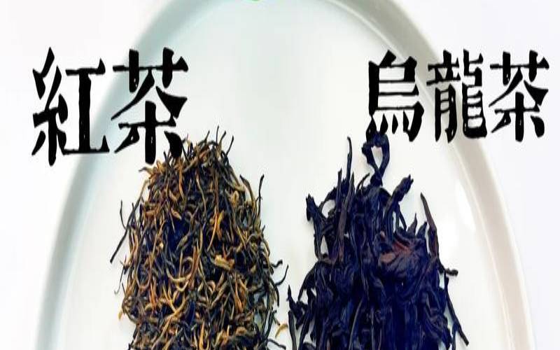 红茶绿茶和乌龙茶哪个好,乌龙茶和绿茶区别 红茶绿茶和乌龙茶哪个好,乌龙茶和绿茶区别