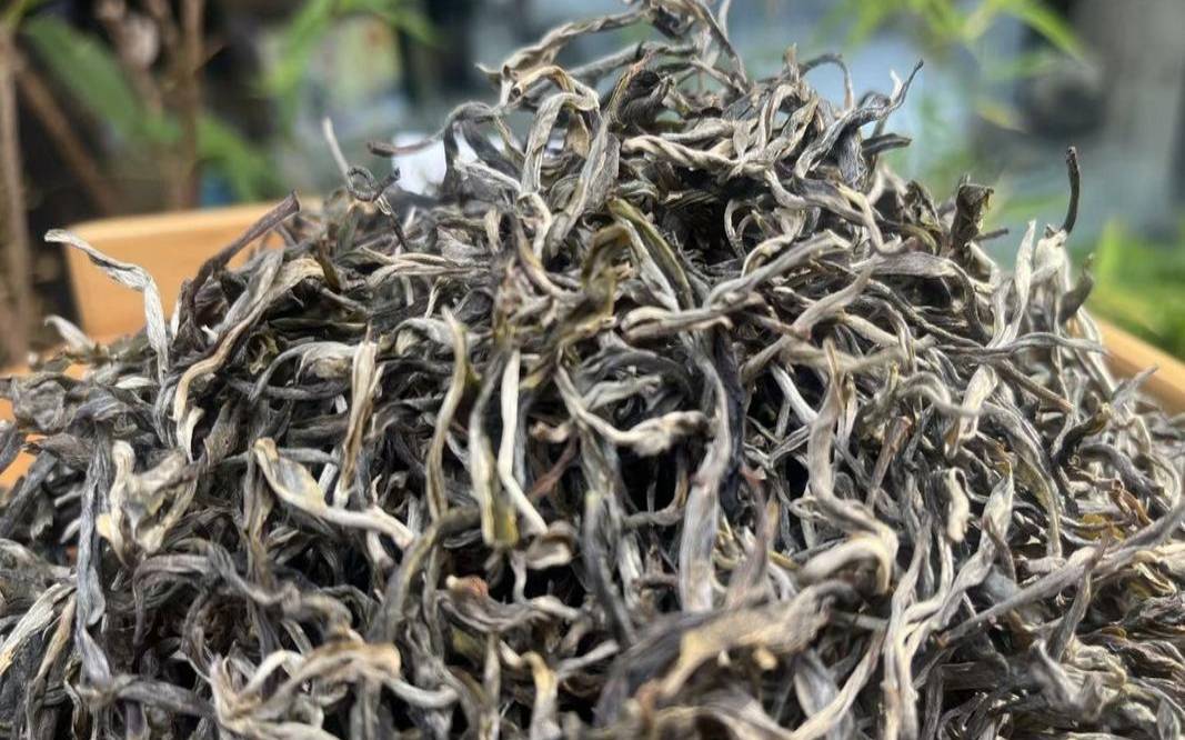 莽枝茶区哪些地方的茶出名,巫山茶的功效与作用