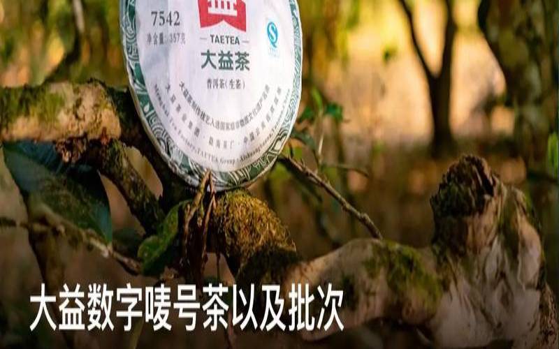 溶茶是什么意思,普洱茶前10名品牌