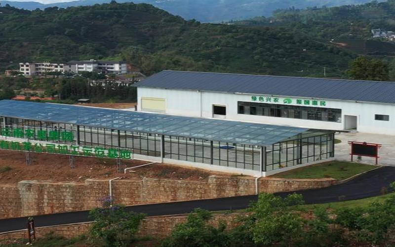 普洱市茶叶检测中心在哪里,普洱市茶叶市场